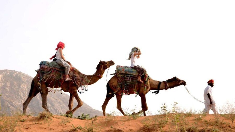 Pushkar Day Trip with Camel Safari From Jaipur By Car. - Final Thoughts: Who Should Consider This Tour?