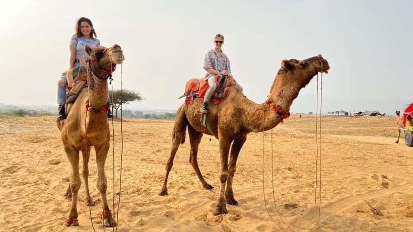 Pushkar Full Day Tour from Jaipur - What Travelers Say About This Tour