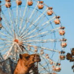 Pushkar: Narwar Garh Fort Tour with Food Walk - Exploring Pushkar: Spiritual Roots and Vibrant Life