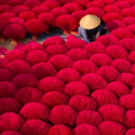 Quang Phu Cau Incense Village-Tam Coc Boating-Hoa Lu Capital - Transportation and Group Size