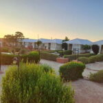 Quiet & Peaceful Night At Luxury Desert Camp - What Sets This Tour Apart?