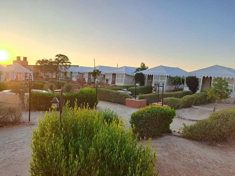 Quiet & Peaceful Night At Luxury Desert Camp - What Sets This Tour Apart?