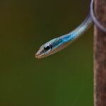 Rainforest Camping in Kudremukh National Park - Exploring the Itinerary in Detail