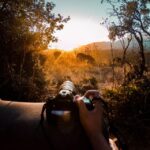 Rajasthan: Ranthambore National Park Private Jeep Safari - Real Insights from Past Travelers