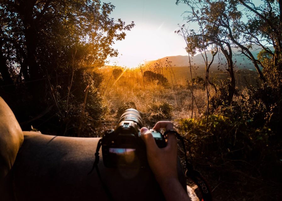 Rajasthan: Ranthambore National Park Private Jeep Safari - Real Insights from Past Travelers