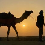 Rajasthan Tour 7 Nights 8 Days - Final Thoughts