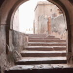 Ranthambore national park Safari Booking  Jeep & Canter Tours - What’s Not Included?