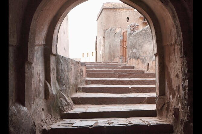 Ranthambore national park Safari Booking  Jeep & Canter Tours - What’s Not Included?