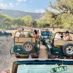 Ranthambore Tiger Reserve Private Gypsy Safari All inclusive - The Itinerary in Detail