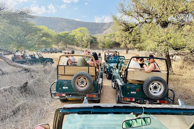 Ranthambore Tiger Reserve Private Gypsy Safari All inclusive - The Itinerary in Detail