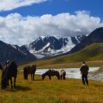 Real Mongolian Adventure! The best highlights of Mongolia - What Makes This Tour Special?
