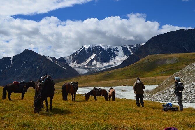 Real Mongolian Adventure! The best highlights of Mongolia - What Makes This Tour Special?
