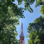 Real Tokyo in one day with a local - Why This Tour Offers Great Value