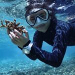Reef Rehabilitation Course and Snorkeling - A Genuine Look at the Reef Rehabilitation Course and Snorkeling Tour
