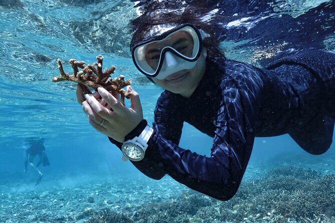 Reef Rehabilitation Course and Snorkeling - A Genuine Look at the Reef Rehabilitation Course and Snorkeling Tour