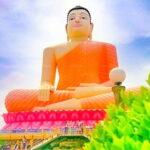 "Ride Through Paradise: Aluthgama & Bentota Tuk Tuk Tour" - Transportation and Guide Quality