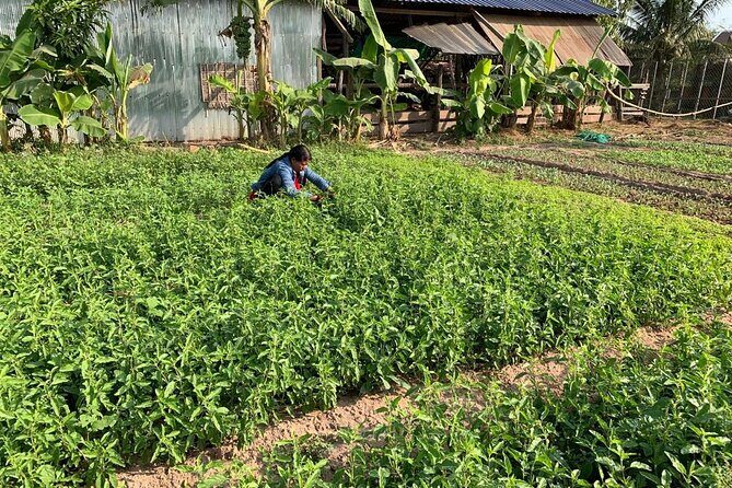 Rural Countryside Experience Tour in Siem Reap - Final Thoughts: Who Is This Tour Best For?