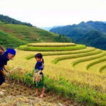 Sa Pa: 2-Day Trekking Tour with Ethnic Minority Homestay - Transportation and Logistics