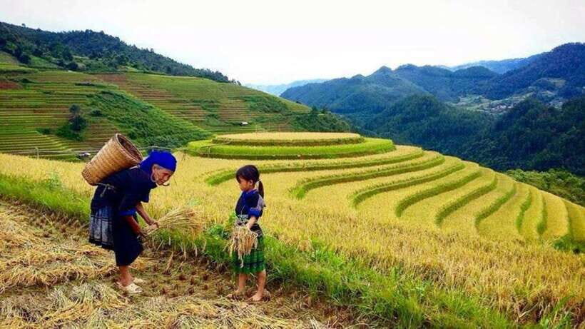 Sa Pa: 2-Day Trekking Tour with Ethnic Minority Homestay - Transportation and Logistics