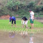 Sa Pa: 6-Hours Muong Hoa Valley Trek with Local Ethnic guide - The Practical Side: What to Expect and Tips