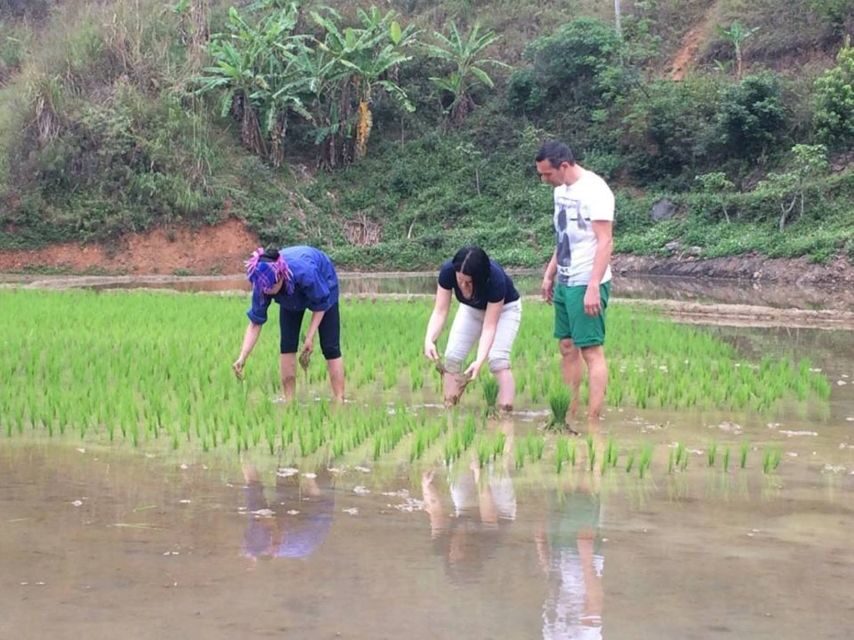 Sa Pa: 6-Hours Muong Hoa Valley Trek with Local Ethnic guide - The Practical Side: What to Expect and Tips