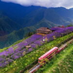 Sa Pa: Discover Fansipan Mountain Trek with Homestay 3 days - Discovering Sapa: A Natural & Cultural Highlight