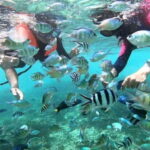 Sabah: Mantanani Island Day Tour with Lunch - An In-Depth Look at the Mantanani Islands Day Tour
