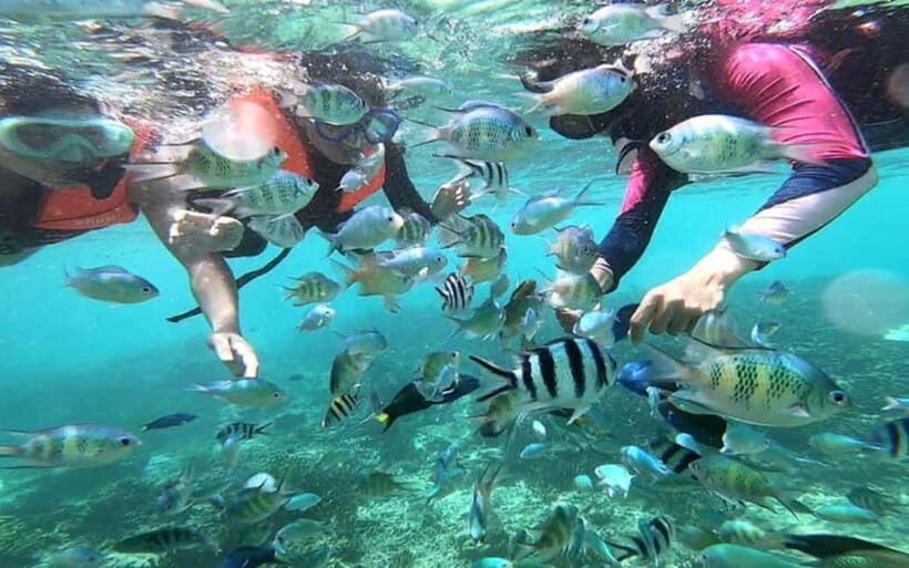 Sabah: Mantanani Island Day Tour with Lunch - An In-Depth Look at the Mantanani Islands Day Tour