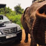 Safari with Sheran Udawalawe National Park - Why Reviewers Love Sheran’s Safari