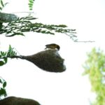 Sagar Gad: Full-Day Hill Fort Trekking from Mumbai - What Reviewers Say