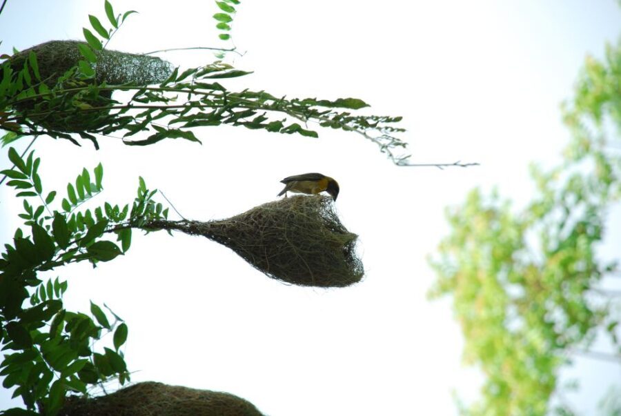 Sagar Gad: Full-Day Hill Fort Trekking from Mumbai - What Reviewers Say