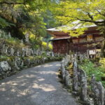 Saitama: Chichibu Driving Tour to Buddhist Temples - Practical Details and Considerations