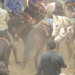 Samarkand: Uloq-Kopkari (Buzkashi) Game Day Tour - What to Bring and Consider
