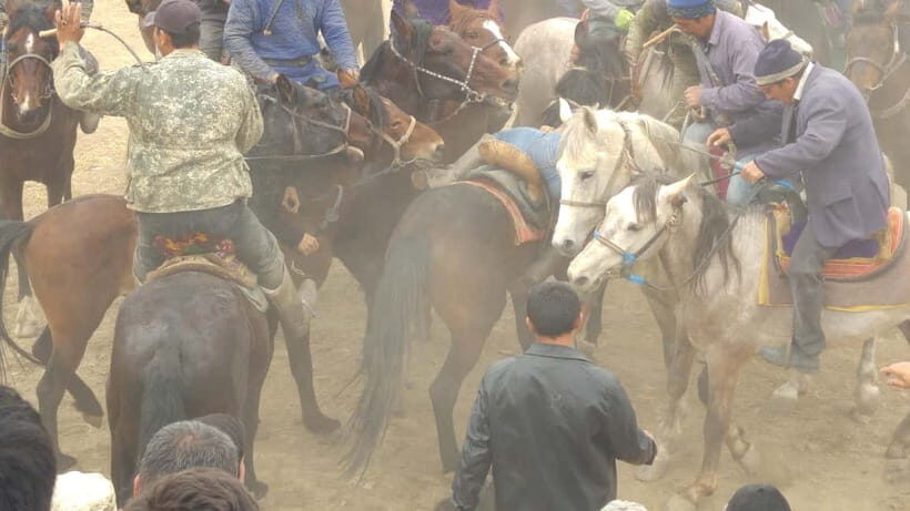 Samarkand: Uloq-Kopkari (Buzkashi) Game Day Tour - What to Bring and Consider