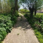 Samarkand: Village Tour with Plov Cooking Class & Home Visit - Home Visit: Genuine Uzbek Hospitality