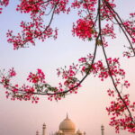 Same Day Taj Mahal Tour from Delhi by Car  Private Day Trip - What the Tour Includes and What to Consider