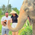 Samui: Elephant Home Sanctuary and the first elephant museum - What to Expect from the Tour