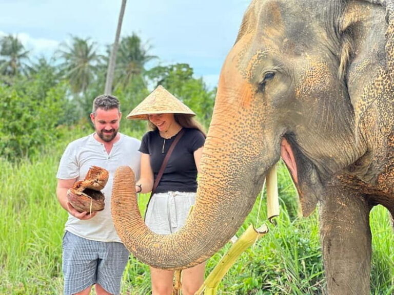 Samui: Elephant Home Sanctuary and the first elephant museum - What to Expect from the Tour