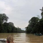 Sandakan: Gomantong Cave Echoes & Kinabatangan River Safari - Venturing onto the Kinabatangan River