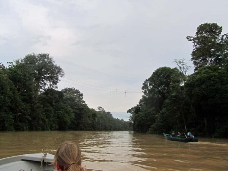 Sandakan: Gomantong Cave Echoes & Kinabatangan River Safari - Venturing onto the Kinabatangan River