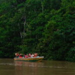 Sandakan: Kinabatangan River Wildlife Cruise with Lunch - What’s Included & What’s Not