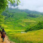 Sapa beautiful rice field, village - Easy walking kid,senior - What To Expect at Each Stop