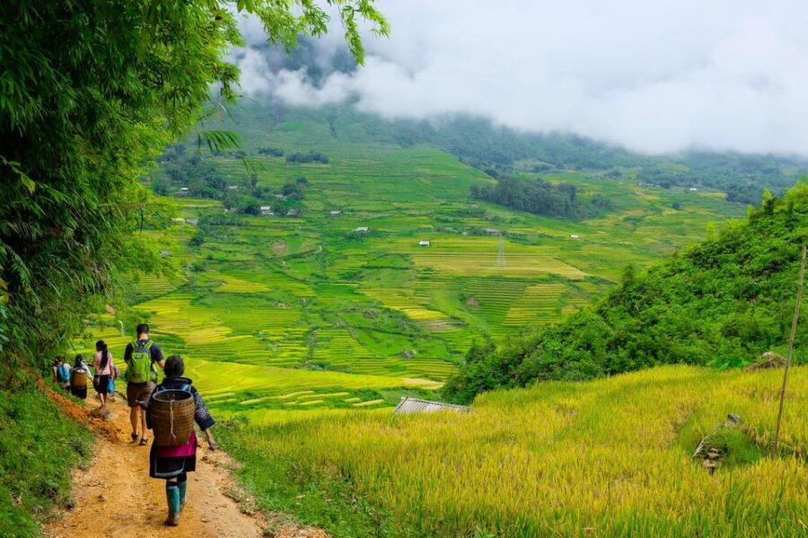Sapa beautiful rice field, village - Easy walking kid,senior - What To Expect at Each Stop