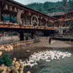 Sapa Cat Cat Village And Y Linh Ho Private Trekking Tour - What to Expect on the Day