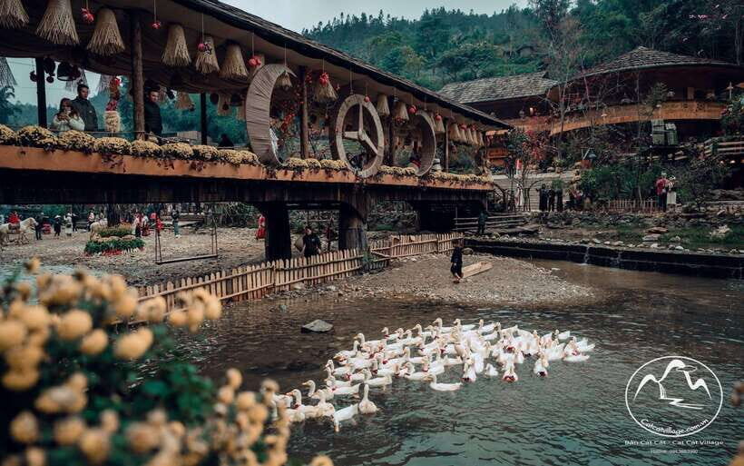 Sapa Cat Cat Village And Y Linh Ho Private Trekking Tour - What to Expect on the Day