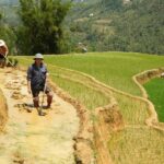 Sapa hard trekking villages and homestay 2 days 1 night trip - Transportation, Meals, and Value