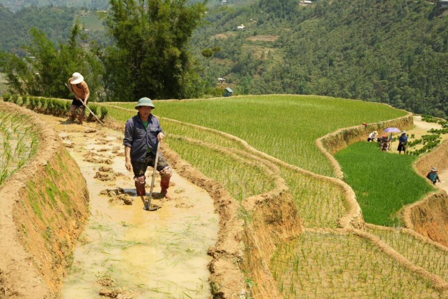 Sapa hard trekking villages and homestay 2 days 1 night trip - Transportation, Meals, and Value