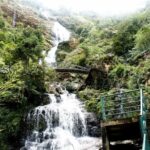 Sapa Hoang Lien National Park & Tribal Village Trek Private - What Makes This Tour Stand Out?