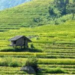 Sapa: Private Muong Hoa Valley and Homestay Trekking 2-Day - What We Loved About the Tour