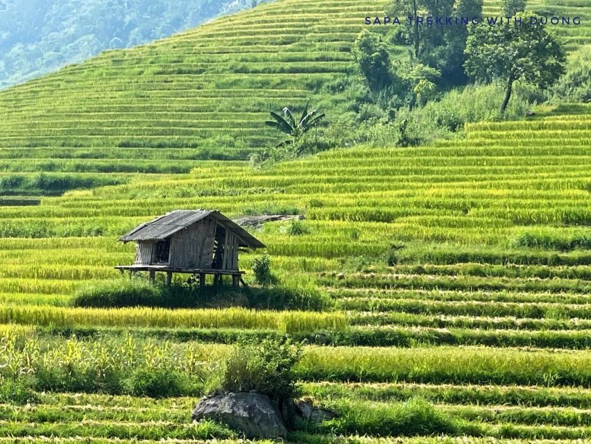 Sapa: Private Muong Hoa Valley and Homestay Trekking 2-Day - What We Loved About the Tour